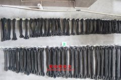 福田BJ5069XJS-F1凈水車用的康明斯ISF3.8s5141發(fā)動機(jī)的大修及配件