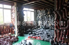 久遠KP5260GYU二氧化碳運輸車用的斯堪尼亞DC918發動機的配件及保養